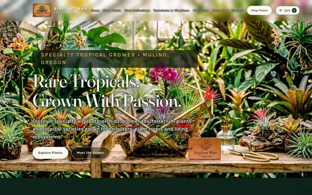 Homepage of a plant nursery website we built